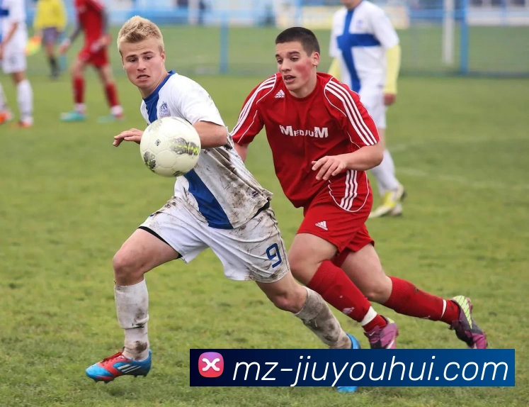 九游会J9官网平台生态图