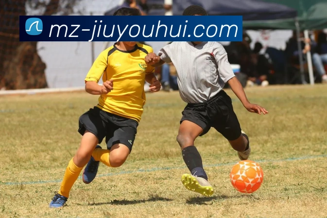 九游会J9官网APP 封面图